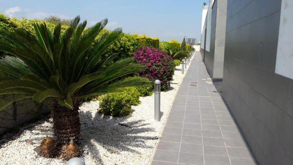 Oliva Nova - Golf&Beach Cabagua Экстерьер фото
